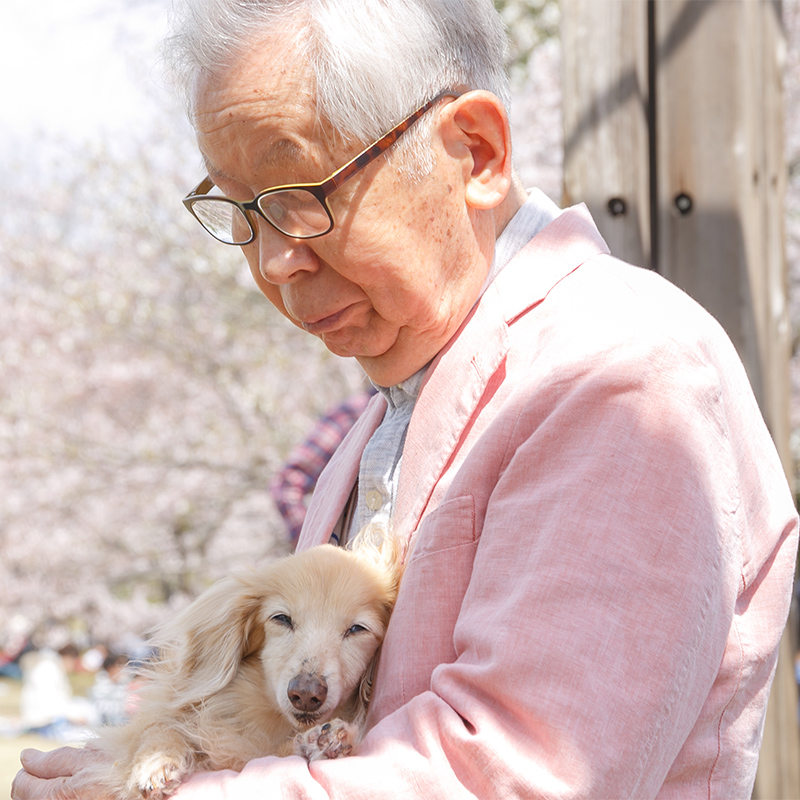 日帰り手術